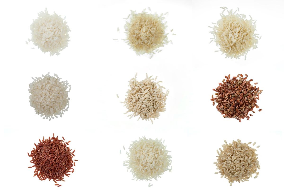 A collection of different rice varieties isolated on a white background.