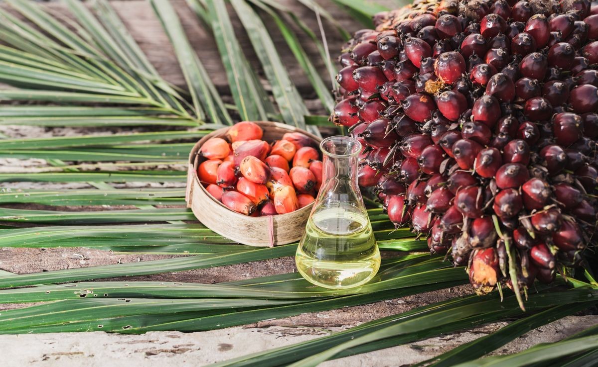 Palm oil, glass, vegetable oil and palm bunches.
