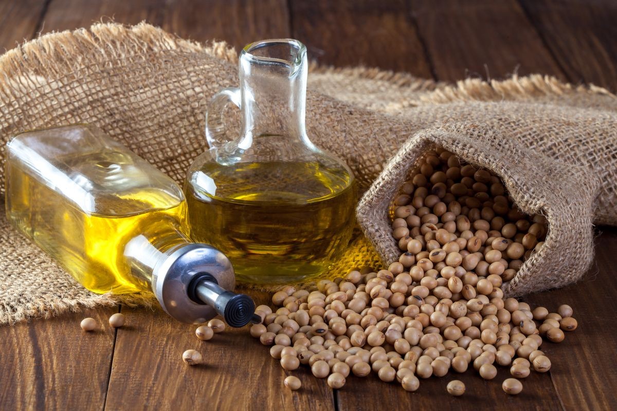 Soybean oil and Soybean