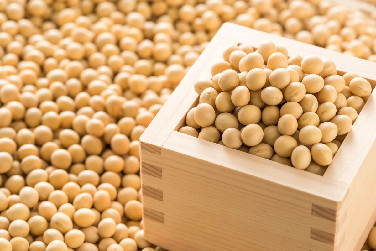 Raw dried soybeans, Organic cultivation